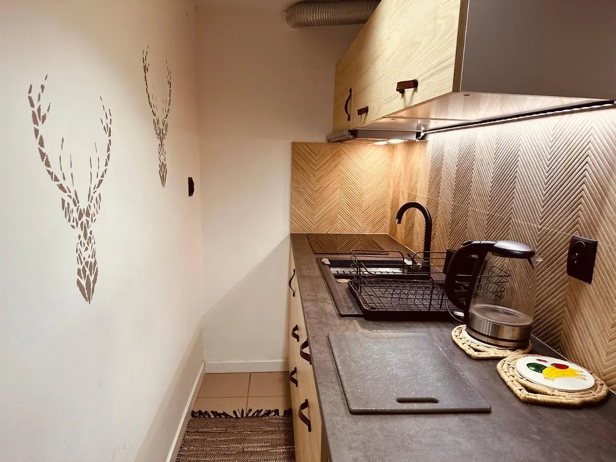Mieszkanie Jelonek 3-Pokojowy Zakopane Apartment